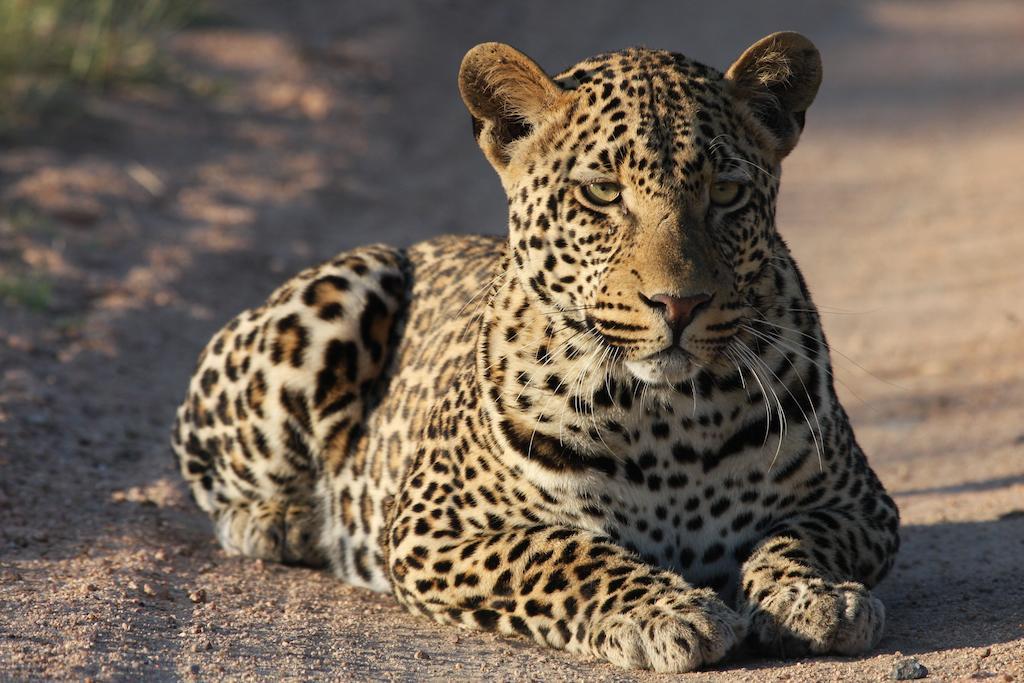 Tutwa Desert Lodge Augrabies المظهر الخارجي الصورة