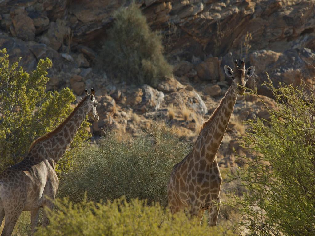 Tutwa Desert Lodge Augrabies المظهر الخارجي الصورة