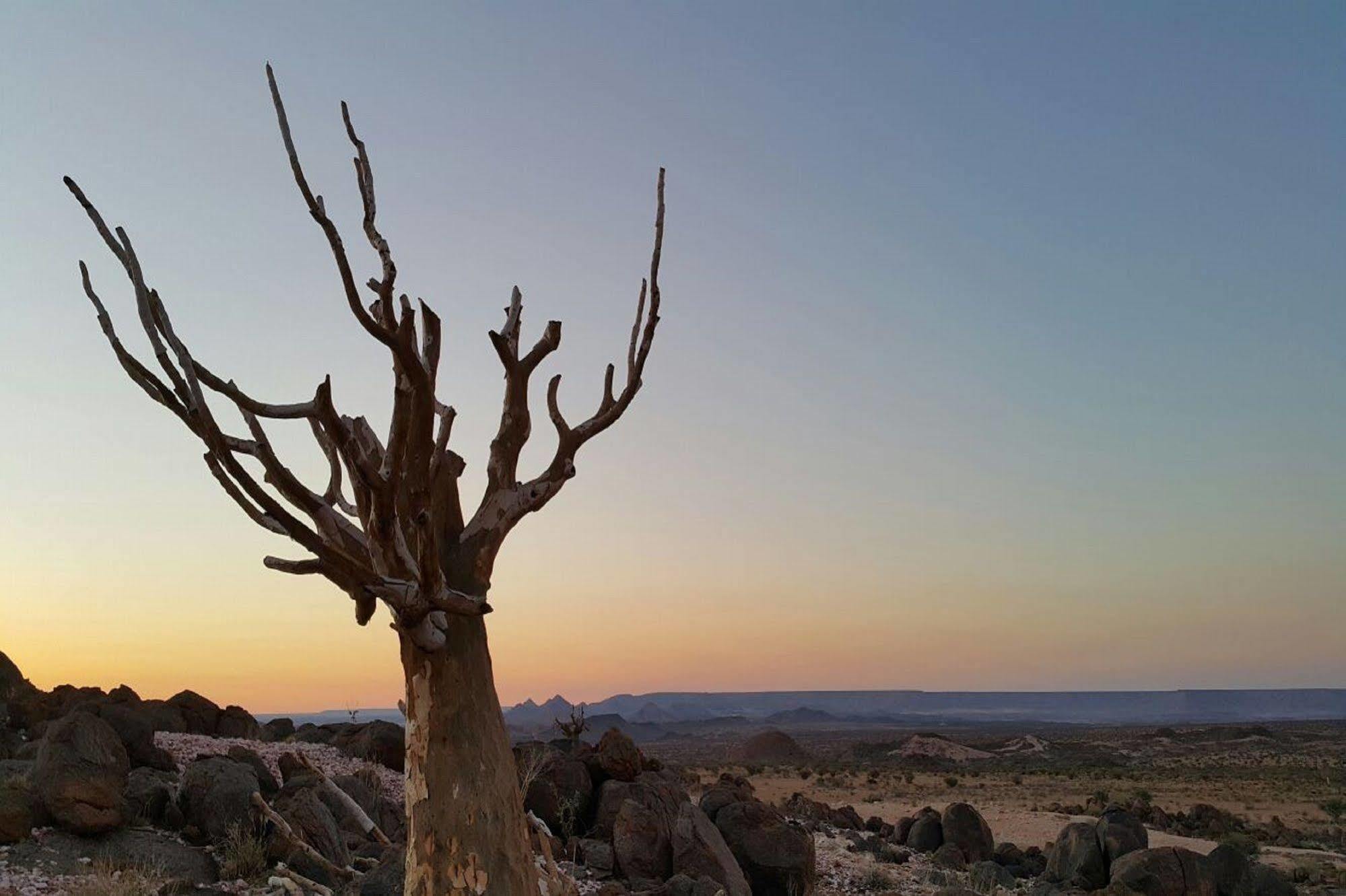 Tutwa Desert Lodge Augrabies المظهر الخارجي الصورة