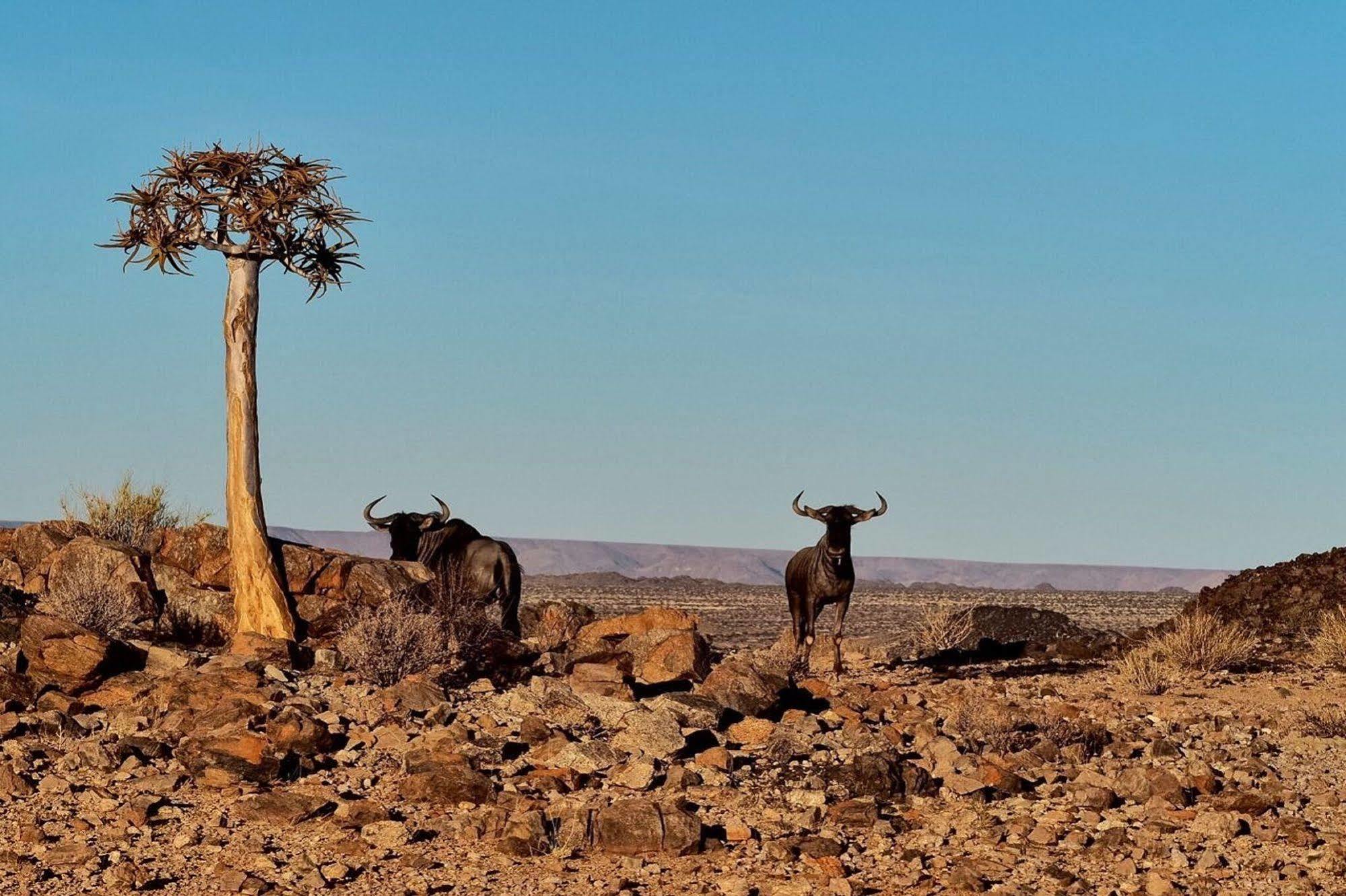 Tutwa Desert Lodge Augrabies المظهر الخارجي الصورة